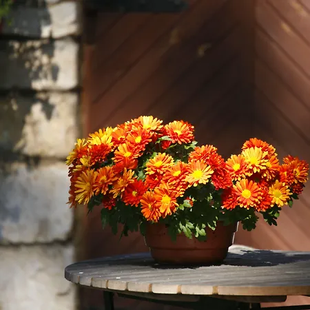 Private At Manor * Pädaste