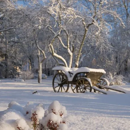 Private At Manor Willa Pädaste