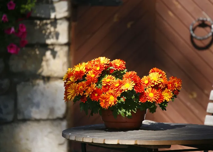 Private At Manor * Padaste (Muhu)