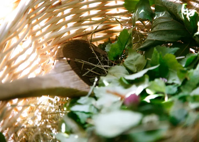 Villa Private At Manor Padaste (Muhu)